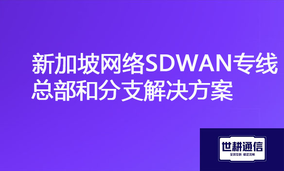 新加坡网络SDWAN专线总部和分支解决方案.jpg 新加坡网络SDWAN专线总部和分支解决方案.jpg