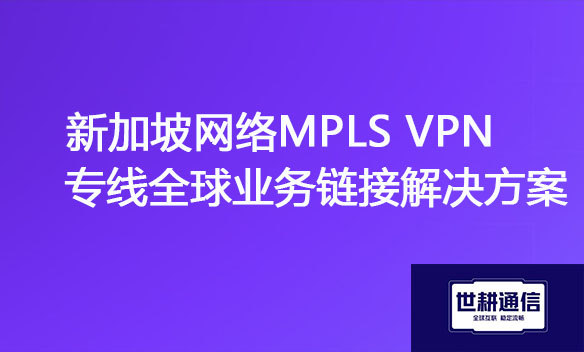 新加坡网络MPLS VPN专线全球业务链接解决方案jpg.jpg