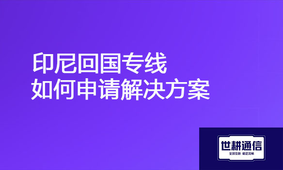 印尼回国专线如何申请解决方案.jpg