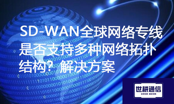 SD-WAN全球网络专线是否支持多种网络拓扑结构？.jpg