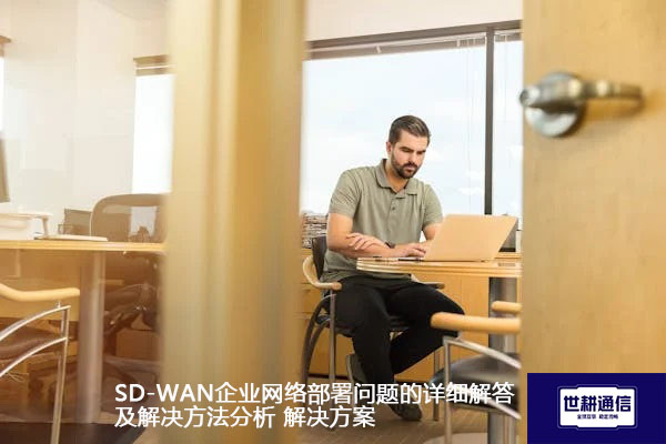 SD-WAN企业网络部署问题的详细解答及解决方法分析.jpg
