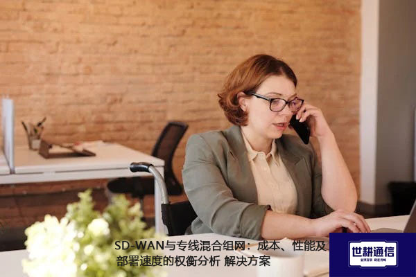 SD-WAN与专线混合组网：成本、性能及部署速度的权衡分析.jpg