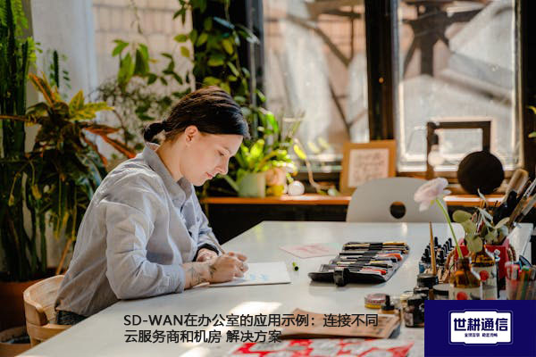 SD-WAN在办公室的应用实例：连接不同云服务商和机房.jpg