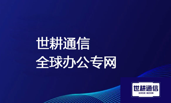 世耕通信全球办公专网.jpg
