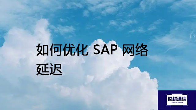 如何优化 SAP 网络延迟？？？解决方案//世耕通信全球办公专网专线