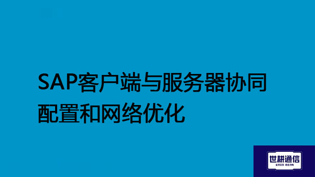 SAP客户端与服务器协同配置和网络优化--解决方案//世耕通信全球办公专网专线