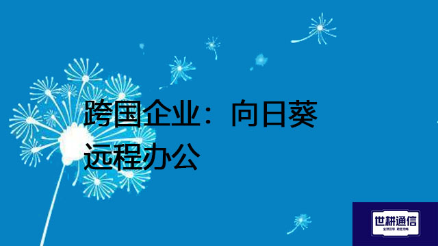 跨国企业：向日葵远程办公--解决方案//世耕通信全球办公专网专线
