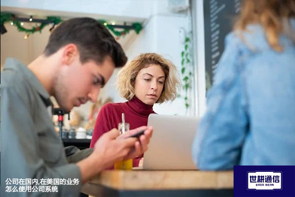公司在国内,在美国的业务怎么使用公司系统---解决方案//世耕通信全球办公专网专线