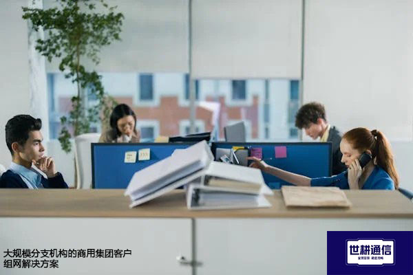 大规模分支机构的商用集团客户组网解决方案--解决方案//世耕通信全球办公专网专线