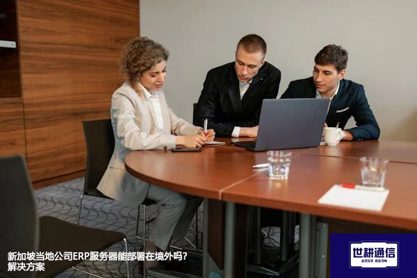 新加坡当地公司ERP服务器能部署在境外吗？--解决方案//世耕通信全球ERP、OA办公专网专线
