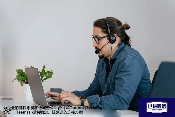 为企业的邮件系统和协同办公平台(如Outlook/Exchange, 钉钉, Teams)提供稳定、低延迟的连接方案-解决方案//世耕通信全球办公专网专线