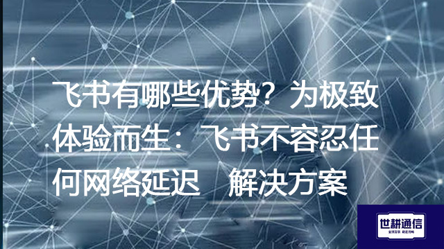 飞书有哪些优势？为极致体验而生：飞书不容忍任何网络延迟--解决方案//世耕通信全球办公专网专线