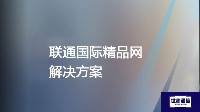 联通国际精品网--解决方案//世耕通信全球办公专网专线