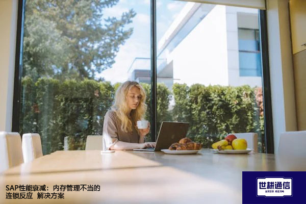 SAP性能衰减：内存管理不当的连锁反应--解决方案//世耕通信全球办公专网专线