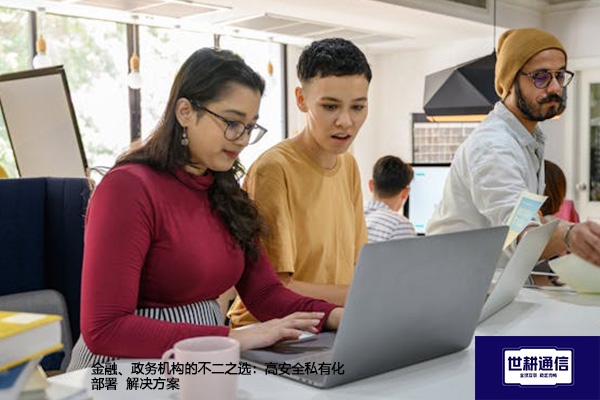 金融、政务机构的不二之选：高安全私有化部署--解决方案//世耕通信  即时通讯（IM）私有化部署