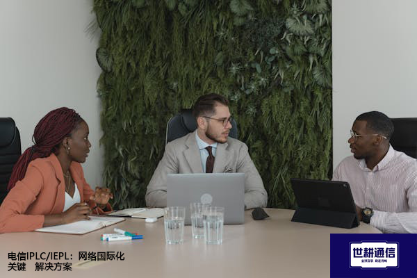 电信IPLC/IEPL：网络国际化关键--解决方案//世耕通信全球办公专网专线