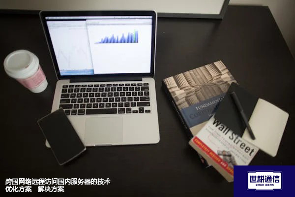 跨国网络远程访问国内服务器的技术优化方案--解决方案//世耕通信全球办公专网专线