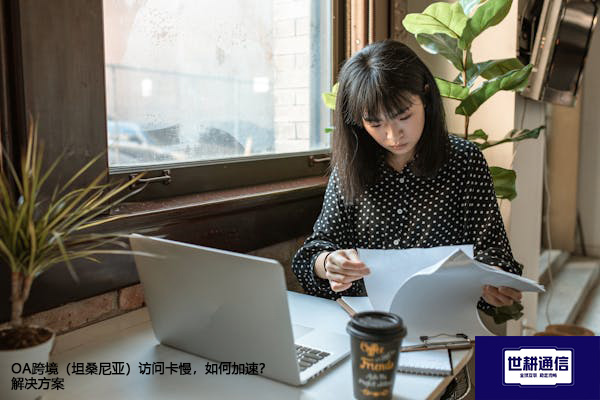 OA跨境（坦桑尼亚）访问卡慢，如何加速？--解决方案//世耕通信全球ERP、OA办公专网专线