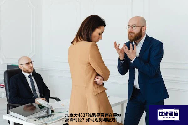 加拿大4837线路是否存在丢包高峰时段？如何观测与应对？--解决方案//世耕通信全球办公专网专线