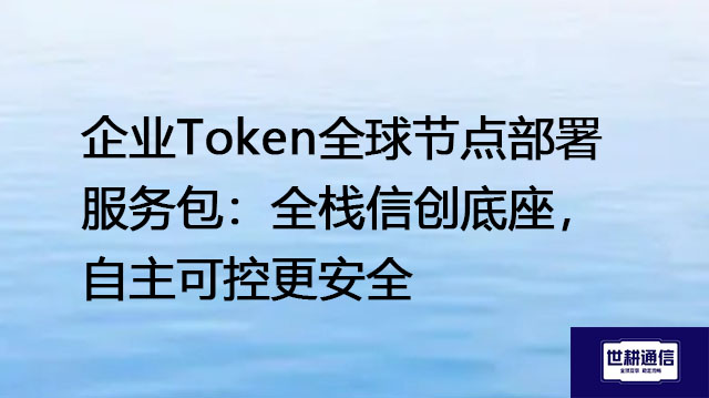 企业Token全球节点部署服务包：全栈信创底座，自主可控更安全--解决方案//世耕通信全球办公专网专线